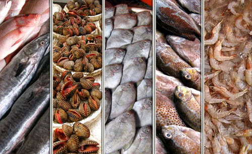 Tips memilih ikan dan bahan makanan laut segar