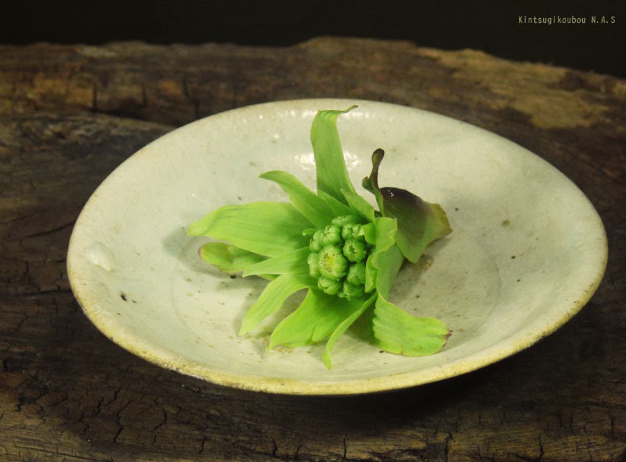 http://page4.auctions.yahoo.co.jp/jp/auction/d150683586