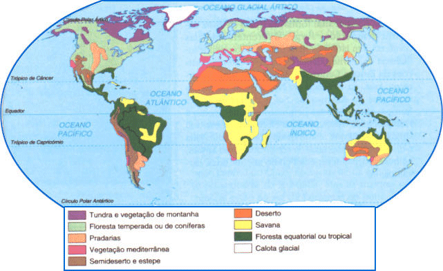 Resultado de imagem para mapa de vegetação do mundo