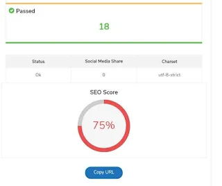 Hasil seo score