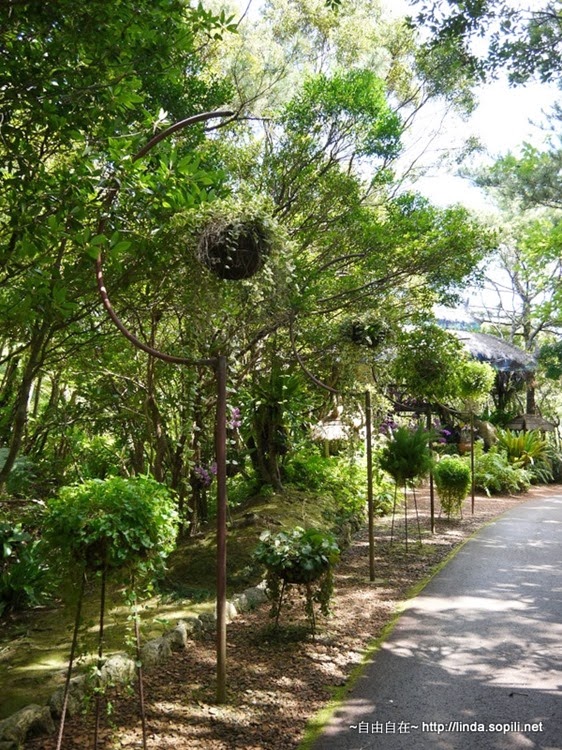 P1070566