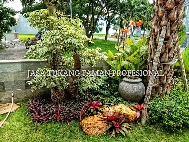 Jasa Tukang Taman, Jasa Pembuatan Taman, Tukang Taman Murah, Jasa Pembuatan Taman Murah Bergaransi, Jasa Desain Dan Pembuatan Taman Profesional, Kontraktor Taman, Spesialis Taman Terbaik