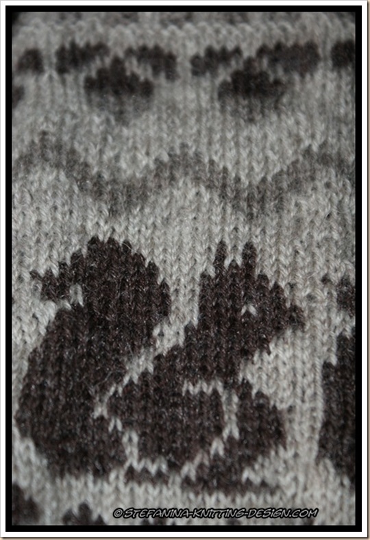 Ecureuil socks close-up