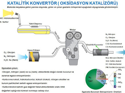 Egzoz emisyonları