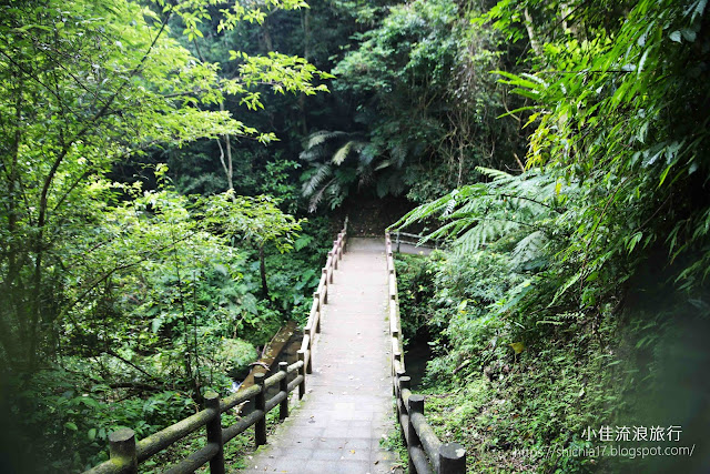 三民蝙蝠洞森林與橋