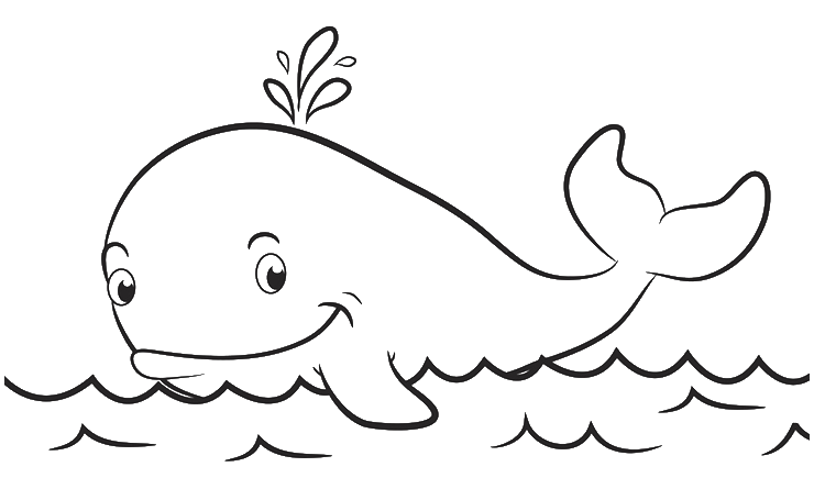 Contoh Gambar Gambar Mewarnai Ikan Paus KataUcap