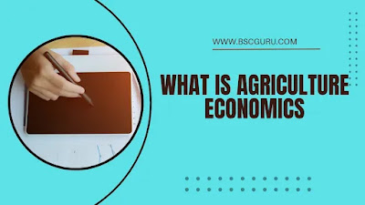Agriculture Economy