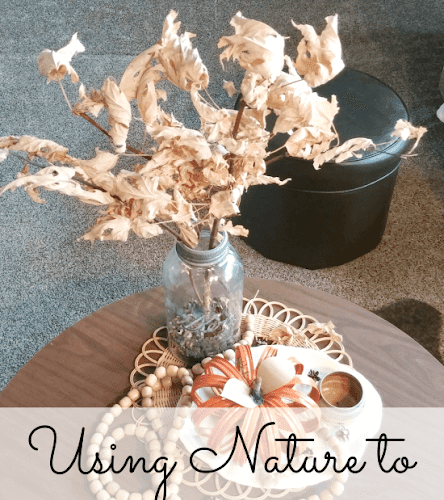 Using Nature to Decorate For Fall