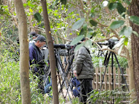 Patient bird photographers in Kyoto, Japan - by Denise Motard