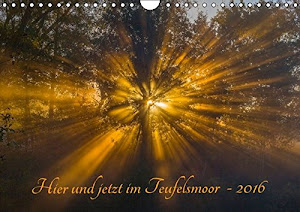 Hier und jetzt im Teufelsmoor - 2016 (Wandkalender 2016 DIN A4 quer): Landschaftaufnahmen aus dem Worpsweder Teufelsmoor (Monatskalender, 14 Seiten ) (CALVENDO Natur)