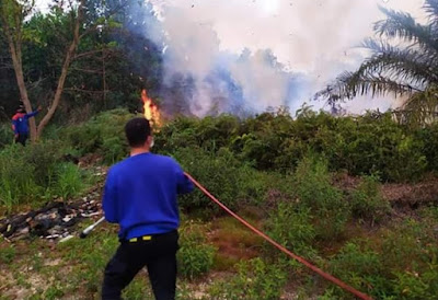 Kebakaran Hutan dan Lahan di Provinsi Riau Dalam Jepretan Kamera