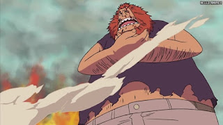 ワンピース アニメ 278話 ハグワール・D・サウロ Jaguar D. Saul 20年前 オハラ バスターコール | ONE PIECE Episode 278 Ohara