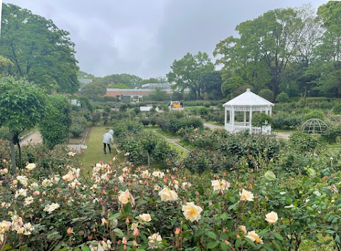 "園丁の思いを込めて開花くバラ"　俳句小屋の展示を入れ替えました(2024.4.22)