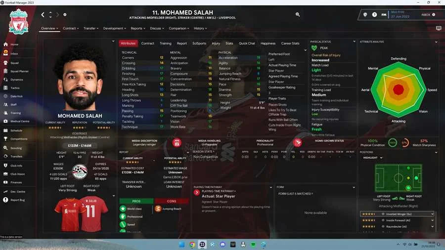 FM23 Skin - Mashup