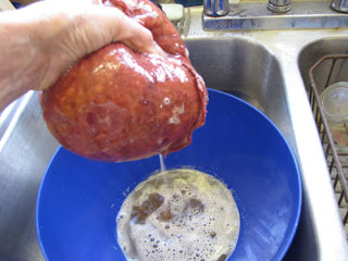 squeezing apple cider in a jelly bag