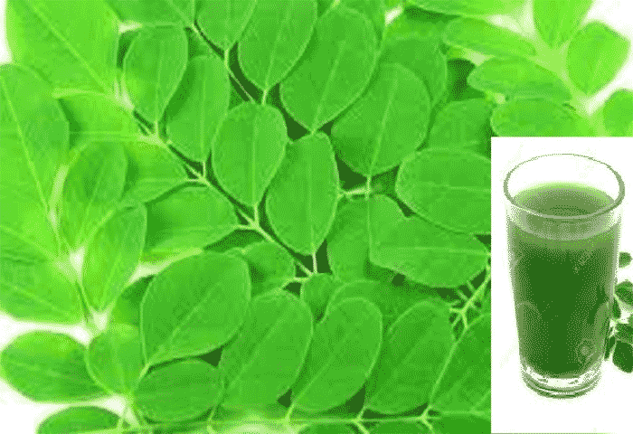 Benefits of Drinking Moringa Supported By Science, Kochi, News, Moringa Juice, Health Benefits, Health Tips, Health, Sugar Control, Kerala News.