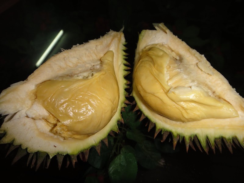 Makan durian dan award..