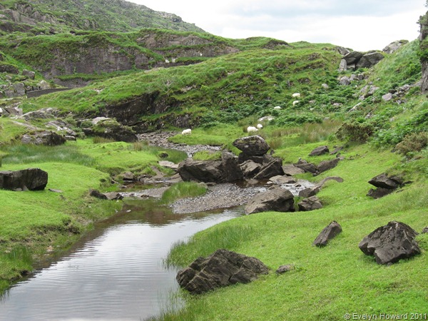 Gap of Dunloe © Evelyn Howard 2011