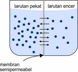 Dalam pelajaran Kimia terdapat bahan mengenai pengertian tekanan osmosis Tekanan Osmosis (Pengertian, Rumus, Proses Terjadi, dan Contohnya)