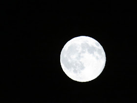 Blue Full Moon Photos