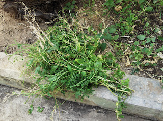 Harvested rocket