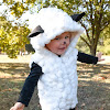 Baby Lamb Costume Diy
