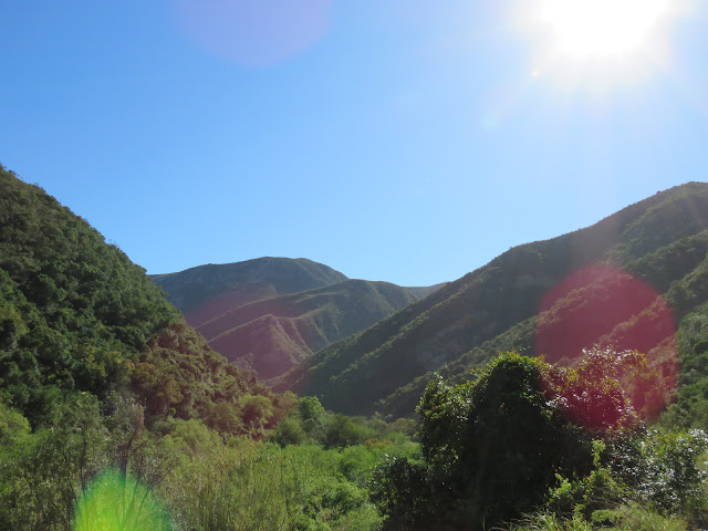 Baviaanskloof Nature Reserve