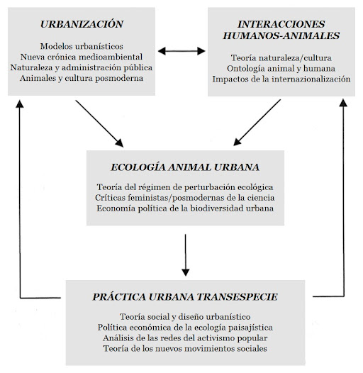 Marco conceptual para la vinculación de los distintos discursos de la problemática urbana transespecífica.