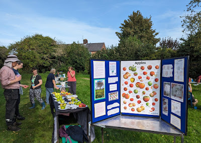 A tasty display of apple varieties next to our apple information board