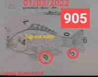 THAI LOTTERY 3UP CUT TOTAL 1-4-2565