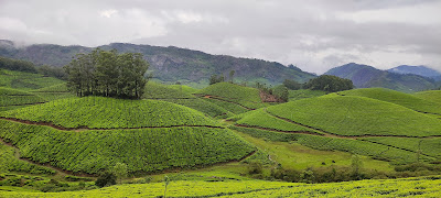 Best Time To Visit Munnar