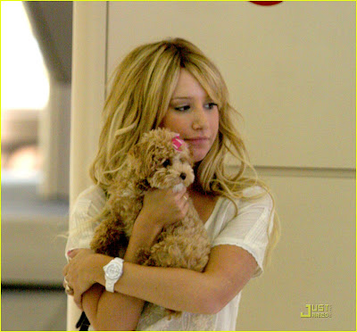 ashley tisdale and her dog