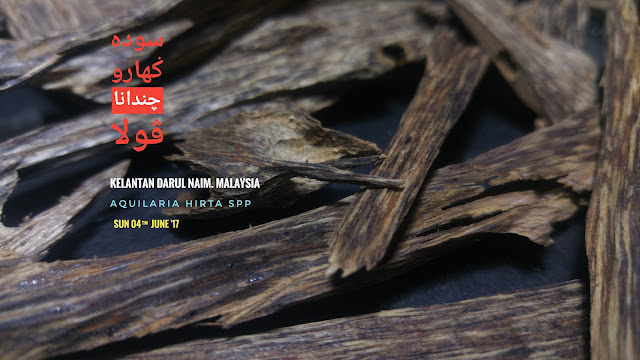 Agarwood, Oud, Oudh, Gaharu, Pure Agarwood Oil, Pure Oud Oil, Pure Oudh Oil, Cheap Agarwood, High quality Agarwood, High Grade Agarwood, Agarwood Price, Ensar Oud, Agar Aura, Imperial Oudh, Taha, Old Agarwood, Decoration Agarwood, Agarwood investment, APC, cleaning Agarwood, distilling Agarwood oil, Agarwood Perfume,