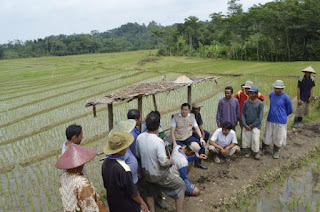 Solusi Pembangunan Pertanian Indonesia Buat Menaikkan Ketahanan Pangan