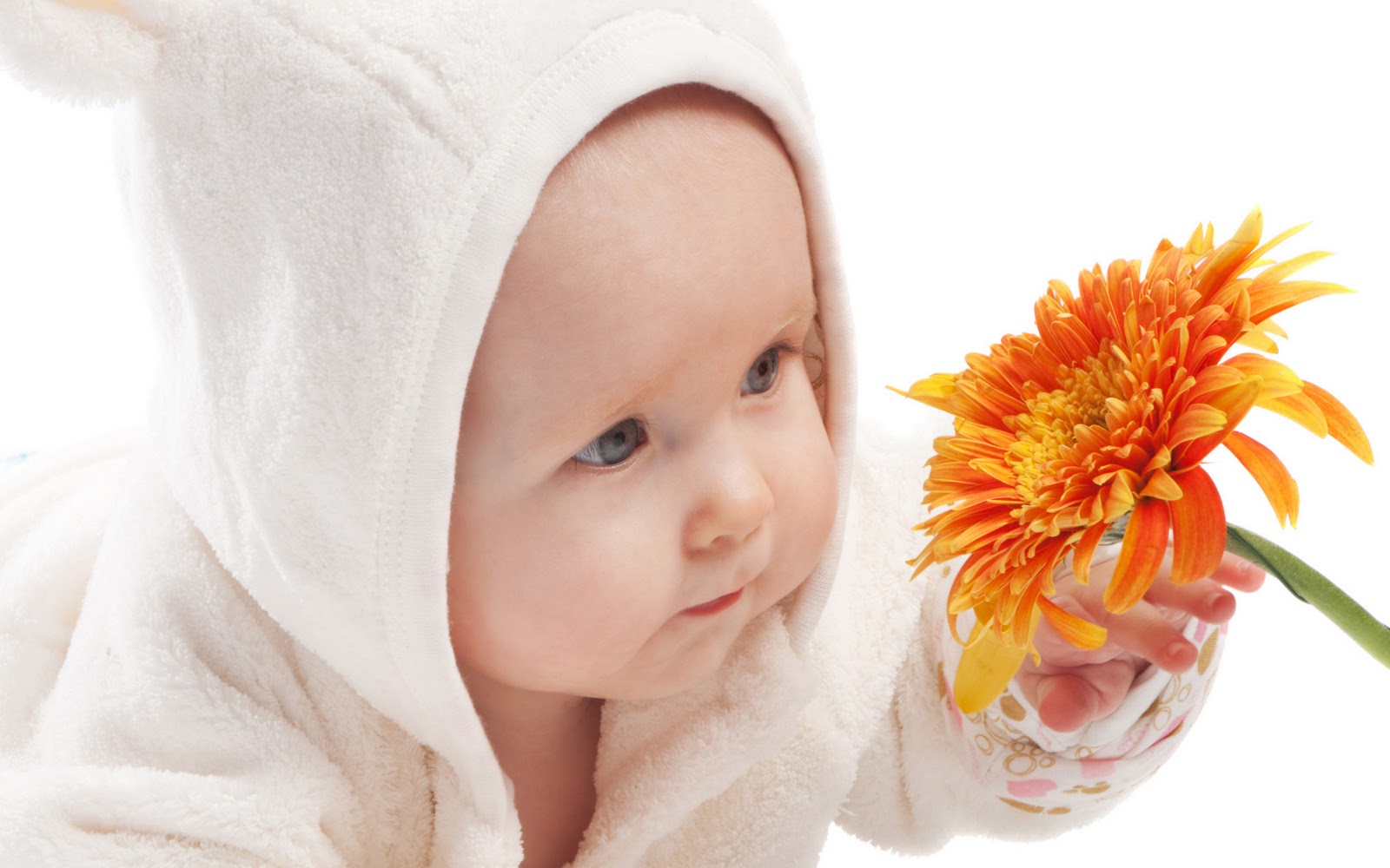 Cute Babies with Flowers