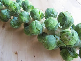 roasted brussel sprouts