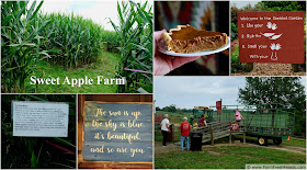 Enjoy a variety of fun family activities at Sweetapple farm like a corn maze, a wagon ride, and a scent garden. Then take home apples to make slow cooker apple butter.