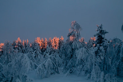 Nordic Point of View: In a halfway. Perfect Finnish winter.