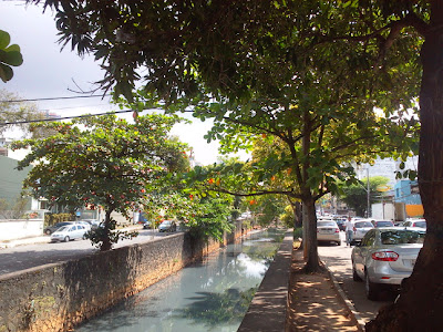 Morador propõe debate sobre decisão da prefeitura de deixar aberto rio da Rua do Canal