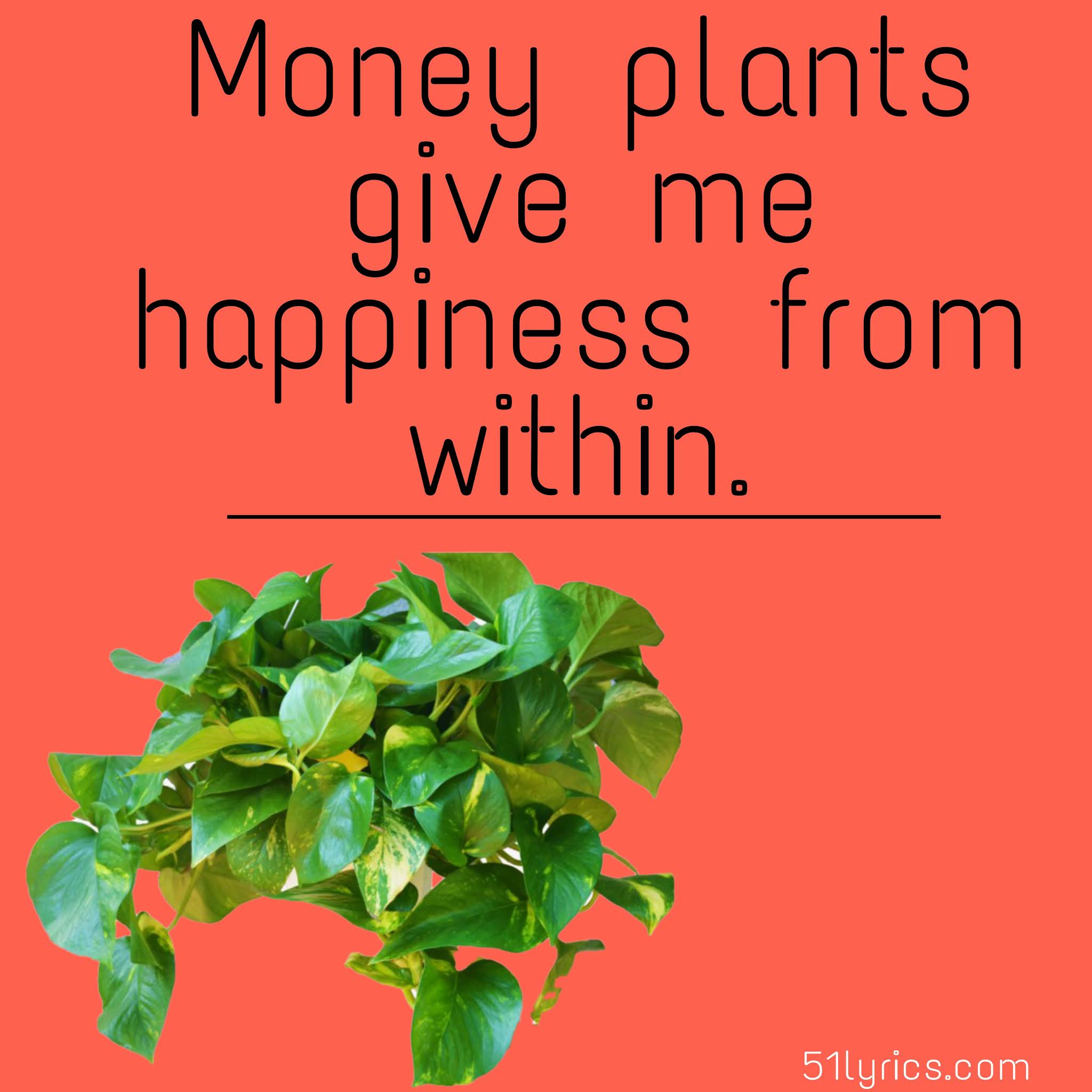 Money plant captions, best captions, captions for Instagram, pick up lines for Instagram, Captions for Ig, money plant quotes, captions for plant lover