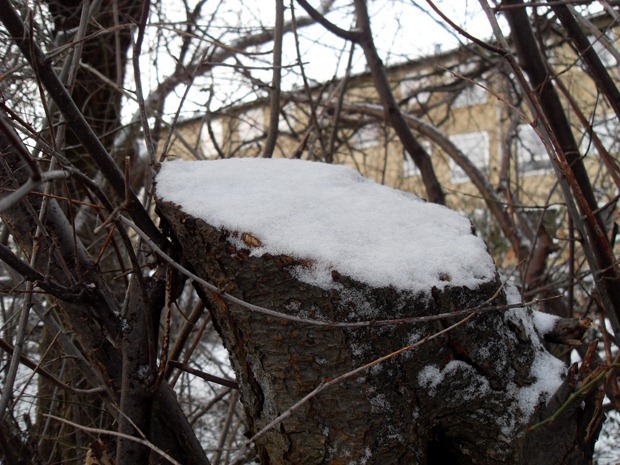 januar 2011