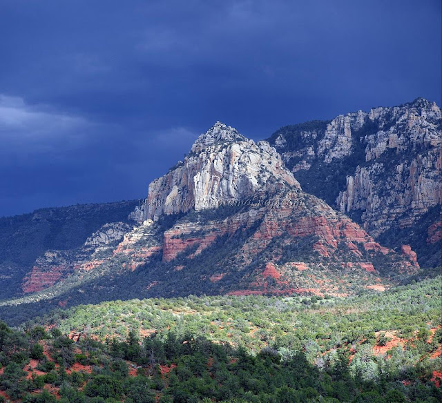 Autumn Red Rock Landscaping4