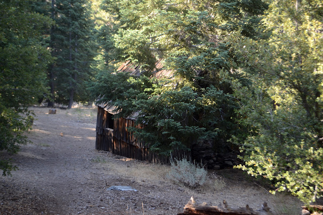 cabin from the back