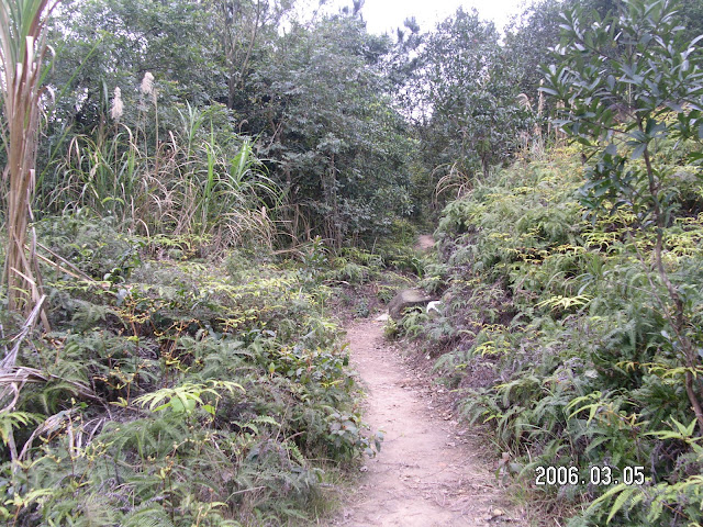 大崙頭山、碧山、白石湖山、大邱田山…趴趴走 (2006.03