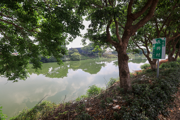 彰化秀水龍騰公園雄偉雙龍搶珠，還有小橋流水荷花池好好拍