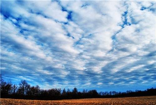 KAMUS METEOROLOGY JENIS AWAN DAN GAMBAR ALTOCUMULUS