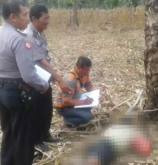 Terjatuh saat cari ranting kayu bakar