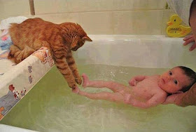 Funny cats - part 97 (40 pics + 10 gifs), cat pictures, cat playing with baby on bathtub