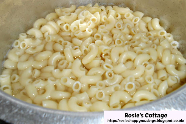 Cooked Macaroni Or Elbow Pasta