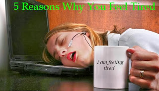 Energy Loss: 5 Reasons Why You Feel Tired